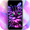 Moving Backgrounds 4k – WALLPS 6.3.1