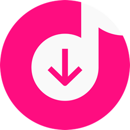 4K Tokkit Pro 25.4.2