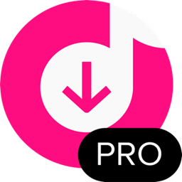 4K Tokkit Pro 25.4.2
