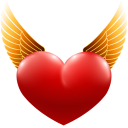 DNS Angel 1.8