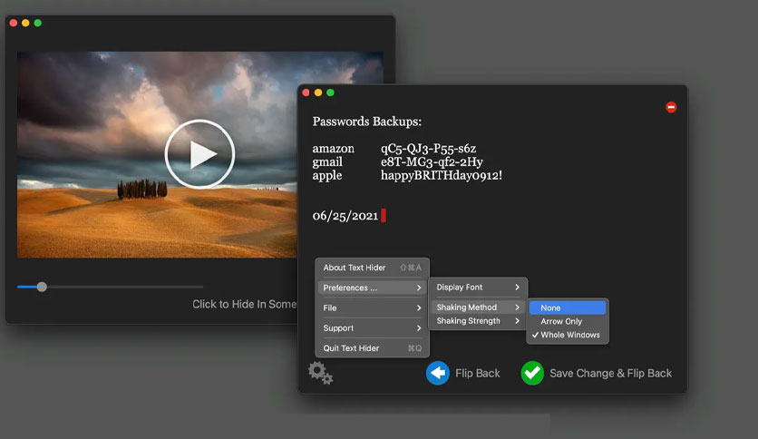 Screenshot