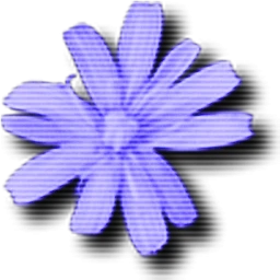Cloanto C64 Forever 11.2.3 Plus Edition