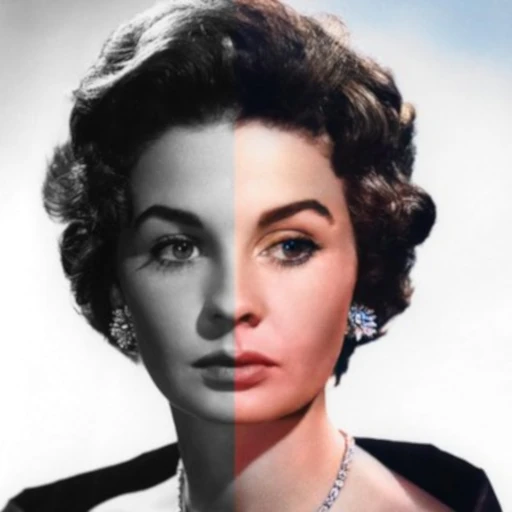 Colorize Images 4.1.22