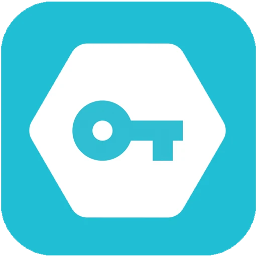 Secure VPN – Safer Internet 4.3.8