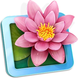 LilyView 1.6.0