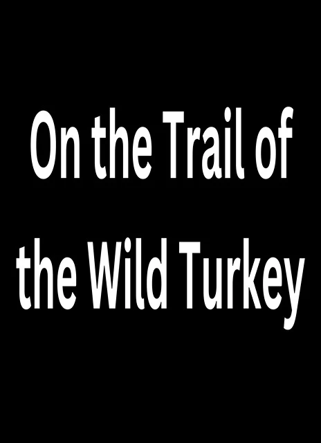 On the Trail of the Wild Turkey
