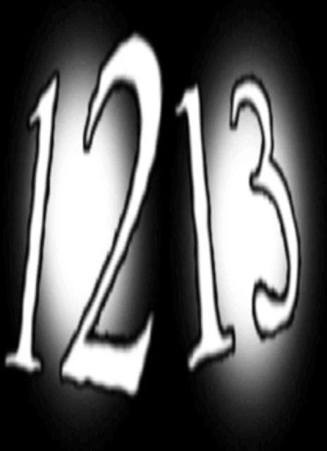1213: Special Edition
