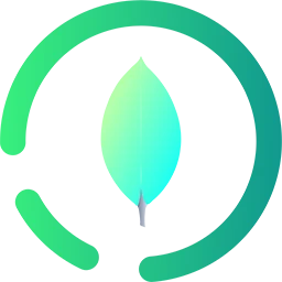 MongoDB Compass 1.48.2