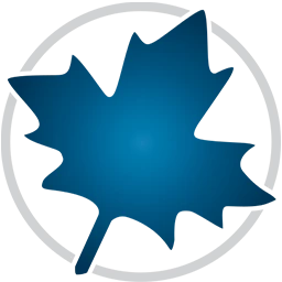 Maplesoft Maple 2024