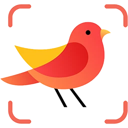 Picture Bird – Bird Identifier 2.9.30