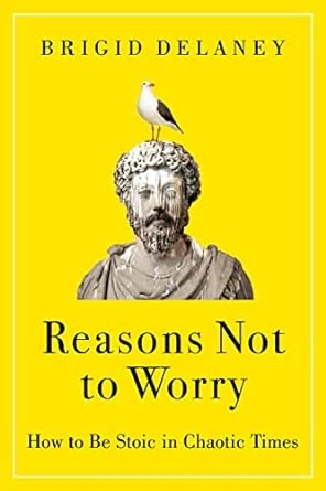 Reasons Not to Worry: How to Be Stoic in Chaotic Times – 1st Edition