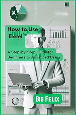 How to Use Excel by Big Felix