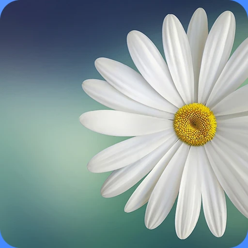 Gallery Lite – Photos, Videos 1.3.9