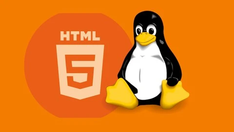 Extended Frontend Web Development Course – Level 1
