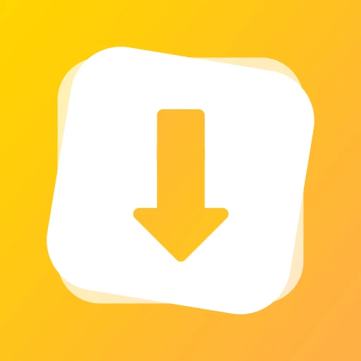 Video Downloader & Player 31.0