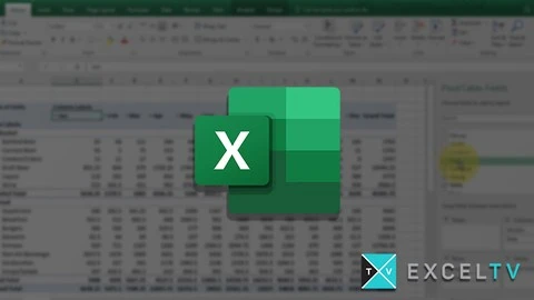 Excel Building BI with PivotTables
