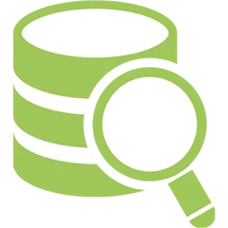 DbVisualizer Pro 25.3.2