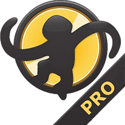 MediaMonkey Gold 2024.2.1.3208