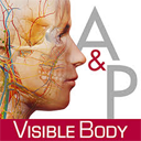 Visible Body Anatomy and Physiology 1.5.04