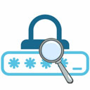 Password Security Scanner 1.65