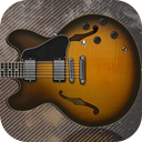 Ample Sound Ample Guitar Semi Hollow 3.2.0