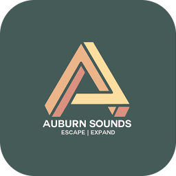 Auburn Sounds Graillon 3.1.1