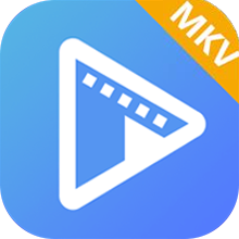 AVAide MKV Converter 1.0.16