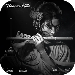 Infinite Audio Bansuri Flute v1.0.0