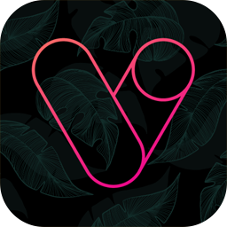 Vera Outline Icon Pack 6.3.6