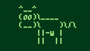 Pikuma – Master the Linux Command-Line & Bash Scripting