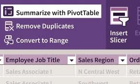 Excel: PivotTables in Depth (2024)