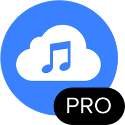 4K YouTube to MP3 Pro 26.1.4