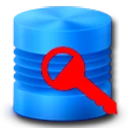Database Password Recovery