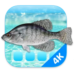 Aquarium 4K – Live Wallpaper 1.1.1