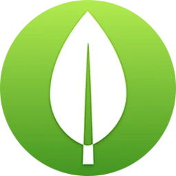 MongoDB Desktop 8.0.5-build.1
