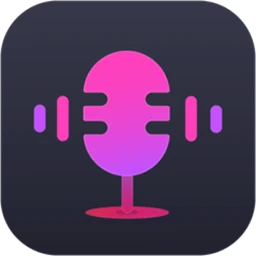 ViWizard Audio Capture 2.6.0
