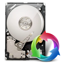 Restore Files – DDR Professional Recovery