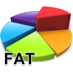 Restore Files – FAT Partition Recovery