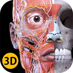 Anatomy 3D Atlas