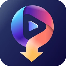 IOForth Duo Video Converter