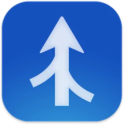 Araxis Merge Professional Edition 2025.1