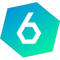 VIOSO GmbH VIOSO6 v6.3.0.10674