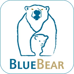 BlueBear Forensic Carver 12.12.65.0