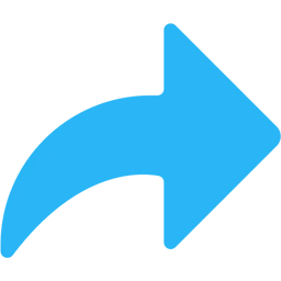 NetDetour 1.10