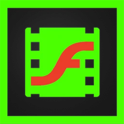 Shining Flash to Video Converter