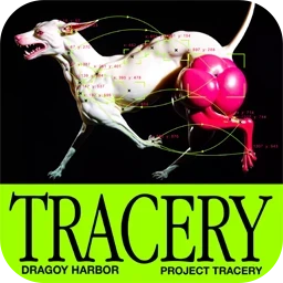 Aescripts Tracery 1.1 for After Effects