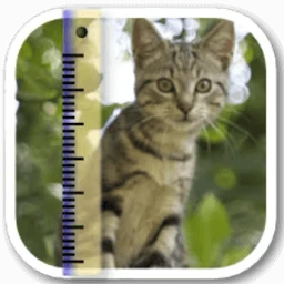 SizeMyPics 1.8.1