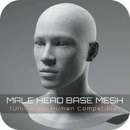 Universal Human Male Head Base Mesh 3.0