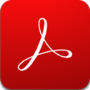 Adobe Acrobat Pro DC 2025.001.21111