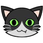 MediCat – Second Opinion 1.0